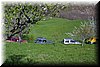 IMG_6544.JPG