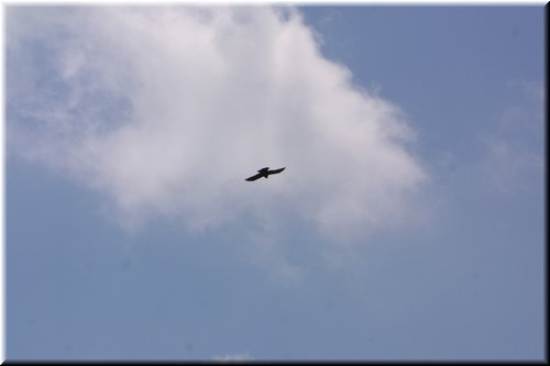 IMG_7198.JPG