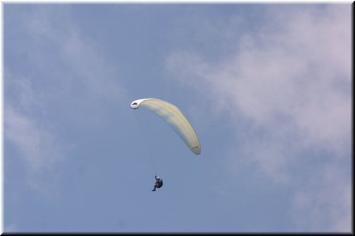 IMG_7218.JPG