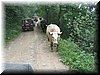IMG_3822.jpg