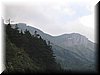 IMG_3923.jpg