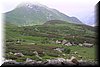 IMG_7229.JPG