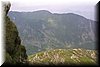 IMG_7253.JPG