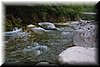 IMG_7295.JPG