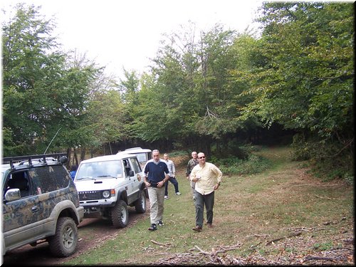 IMG0003.jpg