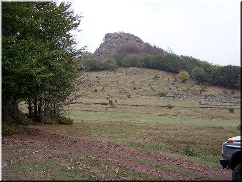IMG0005.jpg
