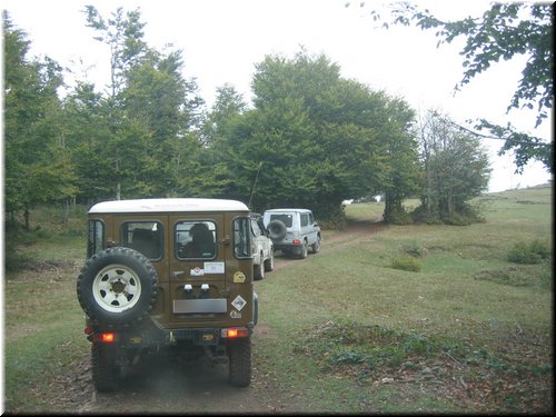 IMG0011.JPG