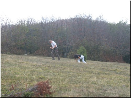 IMG0018.JPG