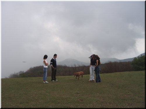 IMG0027.JPG