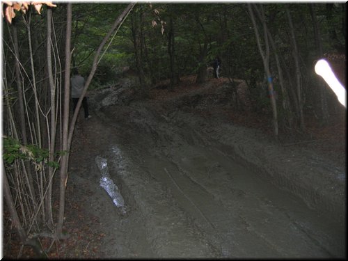 IMG0051.JPG