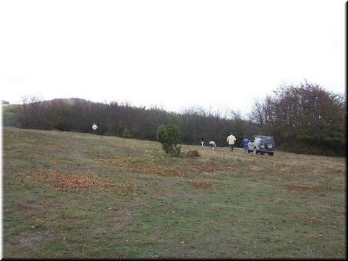 IMG0058.jpg