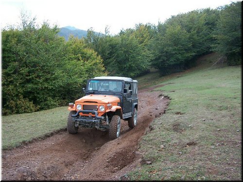 IMG0063.jpg