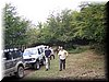 IMG0003.jpg