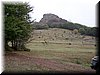 IMG0005.jpg