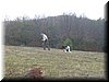 IMG0018.JPG
