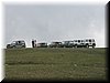 IMG0028.JPG