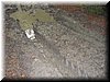 IMG0047.JPG