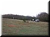 IMG0058.jpg