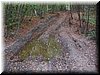 IMG0074.jpg
