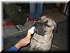 IMG0077.jpg