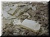 IMG_1000.JPG