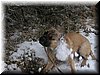 IMG_1234.JPG
