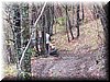 25 aprile 05 032.jpg