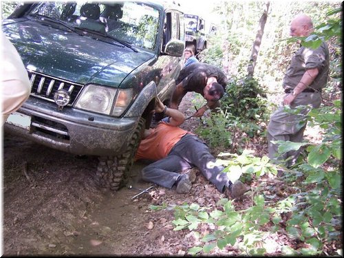 IMG0002.jpg