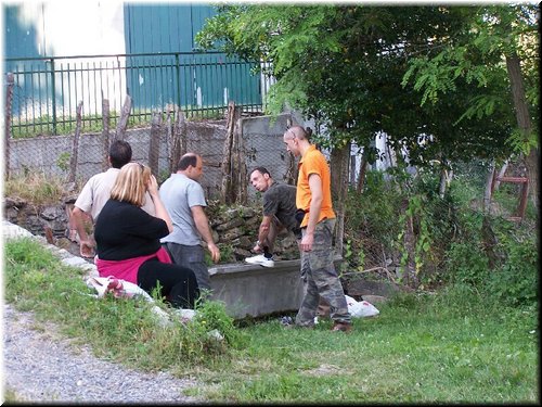 img0010.jpg