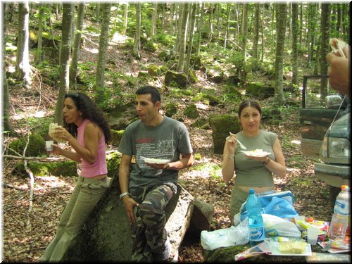 img0049.JPG