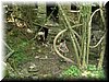 img0061.JPG
