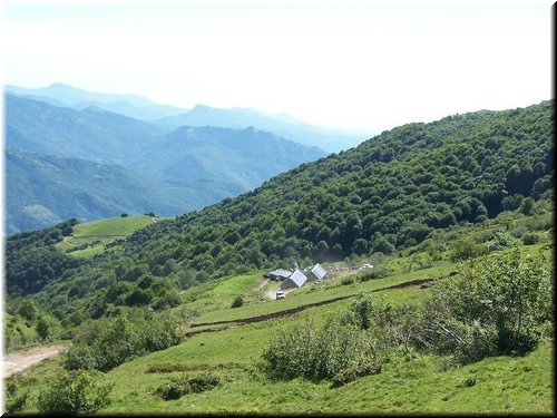 IMG-0139.jpg