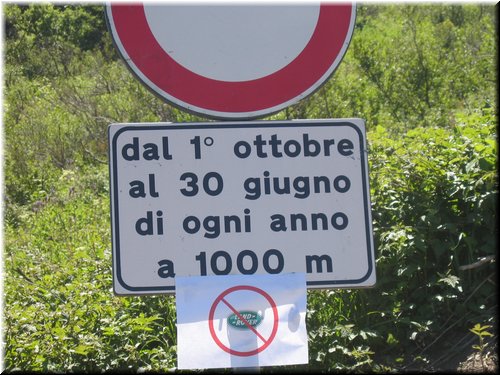IMG-0152.JPG
