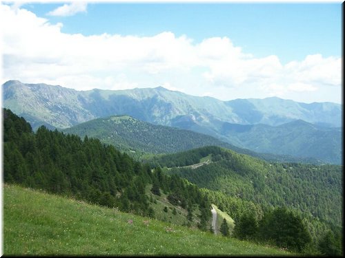 IMG-0175.jpg