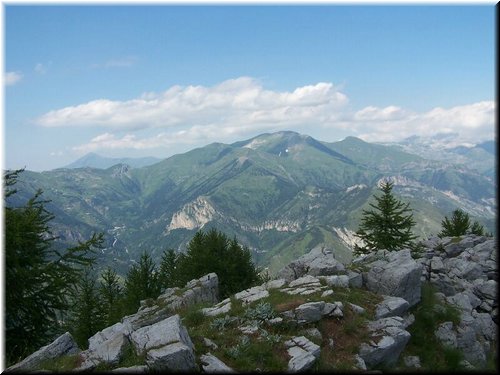 IMG-0190.jpg