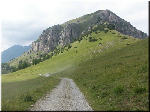 IMG-0192.jpg