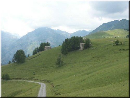 IMG-0198.jpg