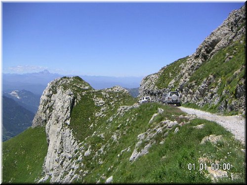 IMG-0217.jpg