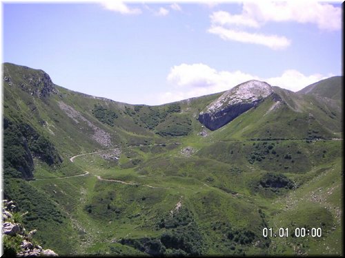 IMG-0220.jpg
