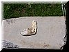 IMG-0125.jpg