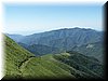 IMG-0145.jpg