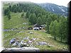 IMG-0187.jpg
