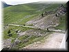 IMG-0201.jpg
