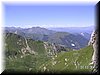 IMG-0218.jpg
