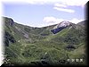 IMG-0220.jpg