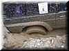 IMG_8505.JPG