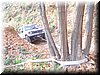 DSC06420.JPG