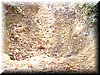 DSC06438.JPG