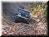 IMG_8941.JPG
