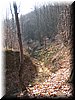IMG_8978.JPG